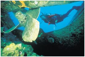 diving in Hawaii